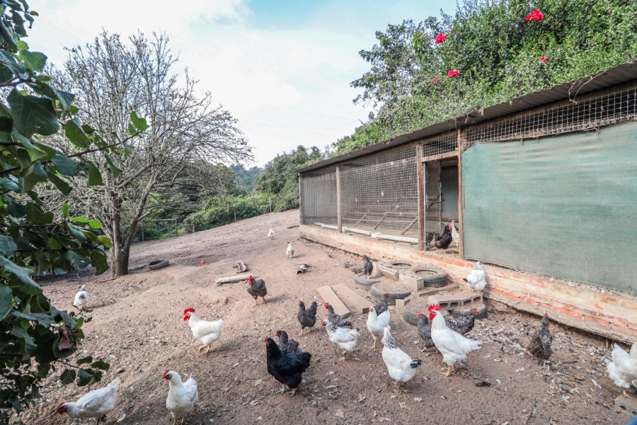 14 Bedroom Property for Sale in Knysna Rural Western Cape